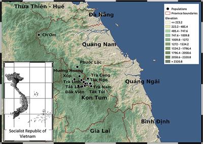 Target Capture Reveals the Complex Origin of Vietnamese Ginseng